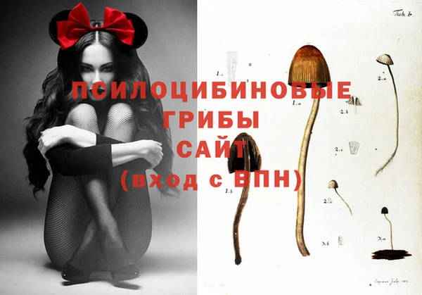 мдма Богданович